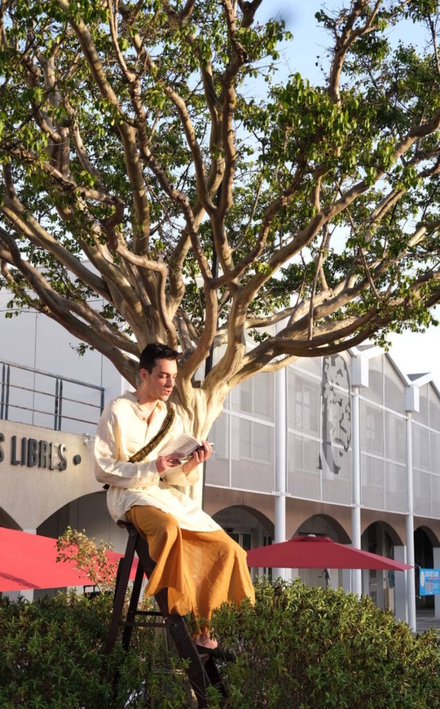 Un homme lit en livre, perché sur un escabeau devant un arbre.